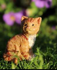 Buttercup the kitten | Fairy Wonderland | Products | miniature animals