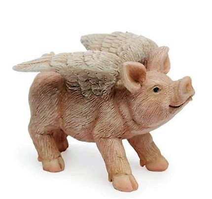 Flying Pig Fairy Wonderland Suppliers