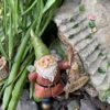 Welcome Gnome - Image 2