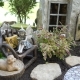 Creating Your Miniature Fairy Garden
