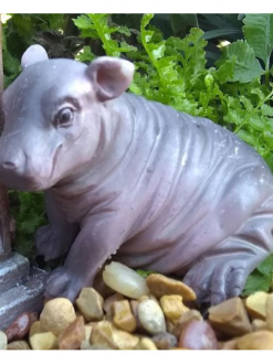 Harriet the Hippo
